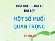 Bài tập về muối Natri clorua NaCl và Kali nitrat KNO3 - Hóa 9 bài 10